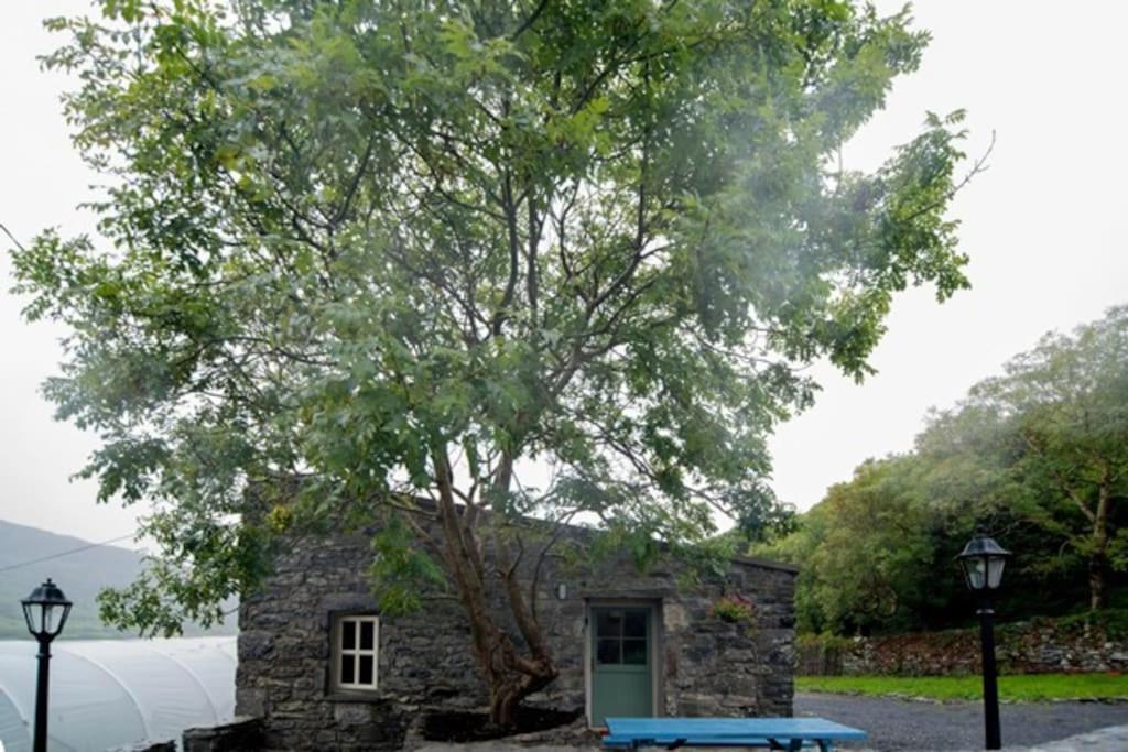 Fermoyle Properties Glynn'S Cottage Fanore Exterior foto